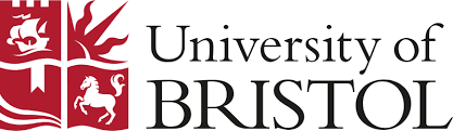 Bristol University colour