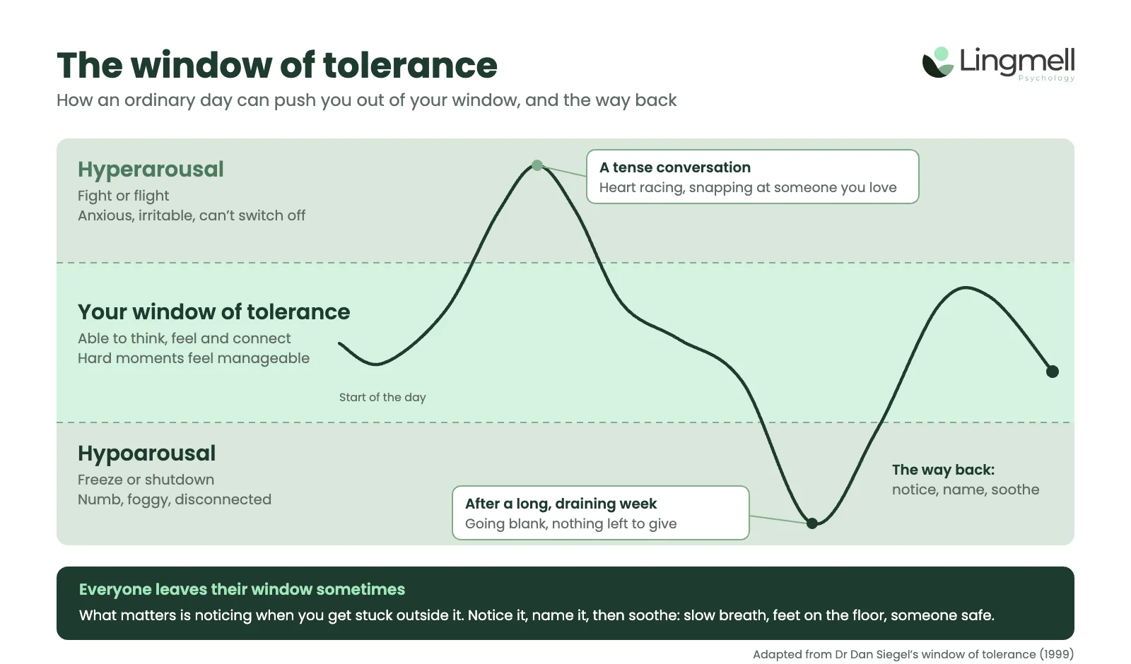 Window of tolerance diagram, adapted from Dr Dan Siegel, showing hyperarousal above, hypoarousal below and the calm zone in between where you can think, feel and connect